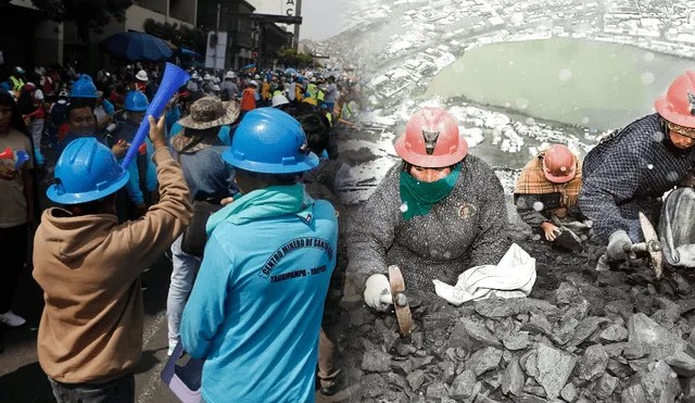 Gobierno de Dina Boluarte promulga ampliación del Reinfo por 6&nbsp;meses