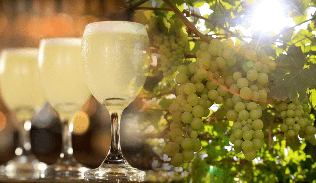 ¿Cuándo es el Día del Pisco Sour en 2025? Conoce el origen e historia de la bebida emblema del&nbsp;Perú