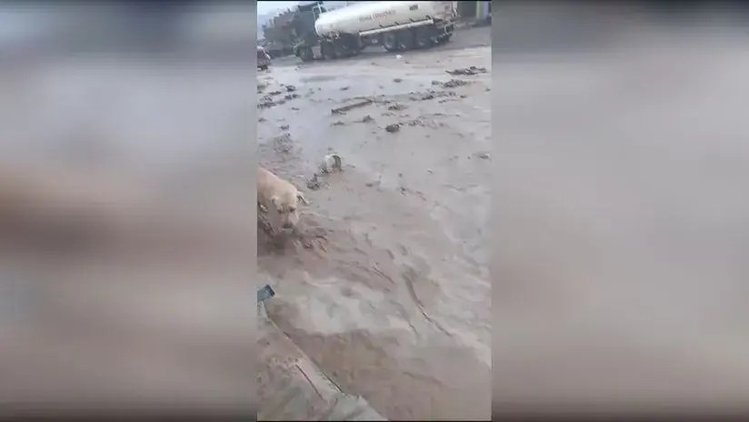 Ica: alcalde de Nasca pide ayuda al Ejecutivo por la caída de huaicos en toda la&nbsp;provincia