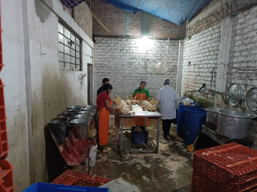 Municipalidad Provincial de Huaral interviene establecimientos clandestinos de faenamiento de pollos con pésimas condiciones&nbsp;sanitarias