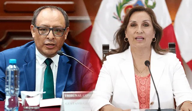 Magistrado del TC se pronuncia a favor de Dina Boluarte: presidenta no puede trabajar con 18 investigaciones&nbsp;abiertas