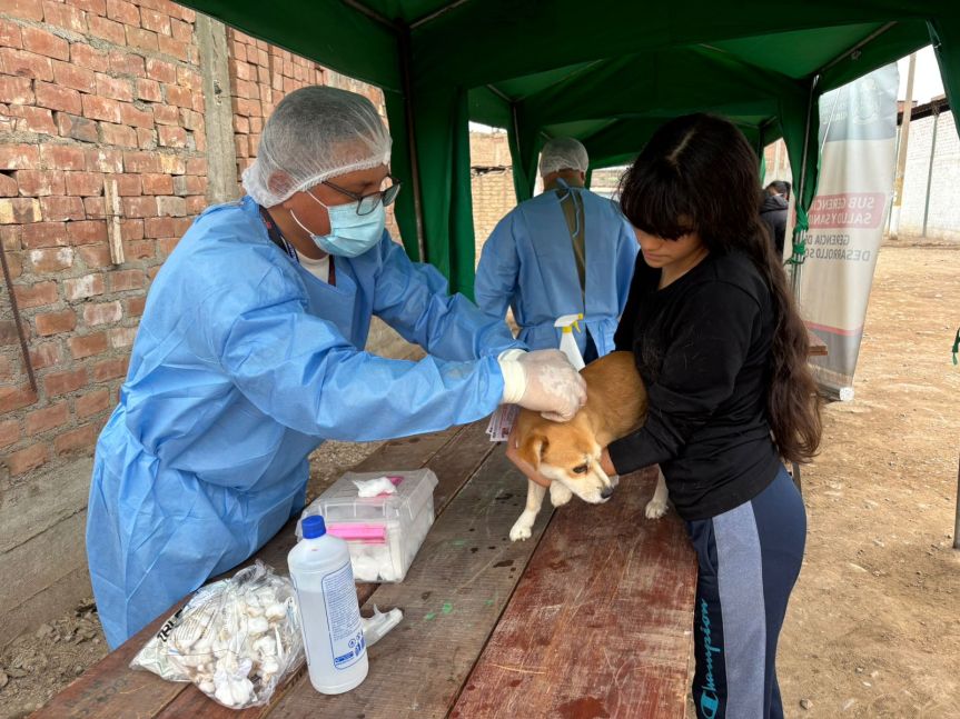 Municipalidad de Huaral realiza exitosa campaña gratuita de bienestar y salud&nbsp;animal