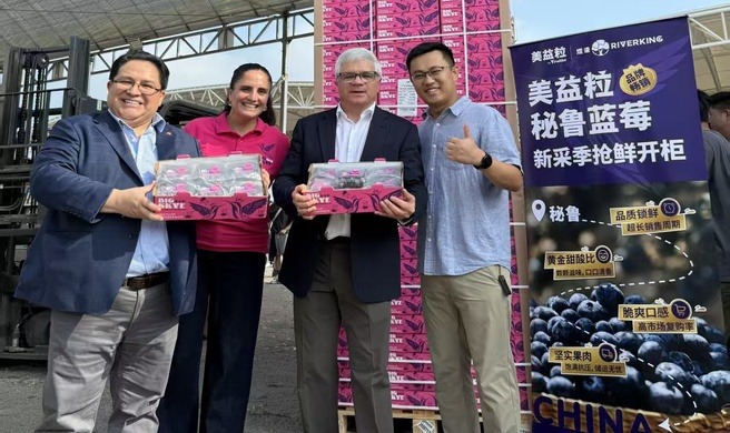 Llegó a China primer despacho de arándanos vía el puerto de&nbsp;Chancay