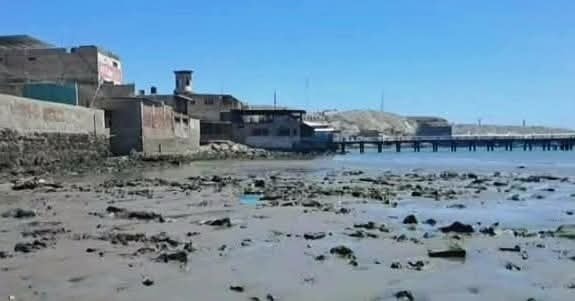 Paita: mar se retiró aproximadamente 100 metros en playa El Toril tras alerta de&nbsp;tsunami