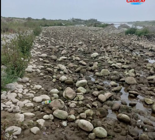 Grave denuncia ambiental por operaciones de chancadora que habría devastado flora y fauna del río&nbsp;Chancay