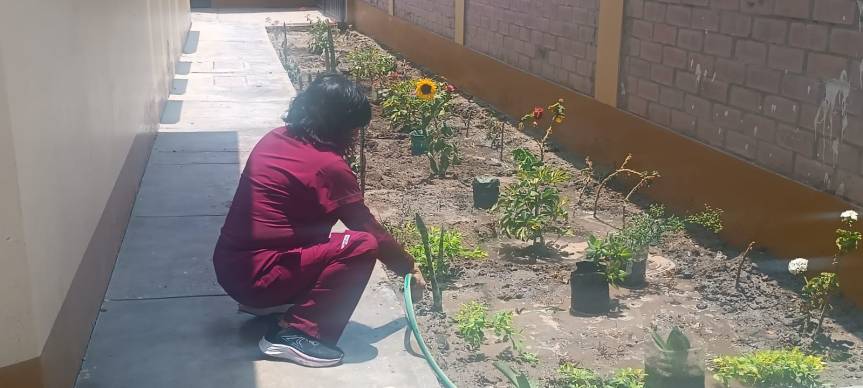 Colquisiri embellece el centro de salud de Jecuan con siembra de plantas y&nbsp;flores