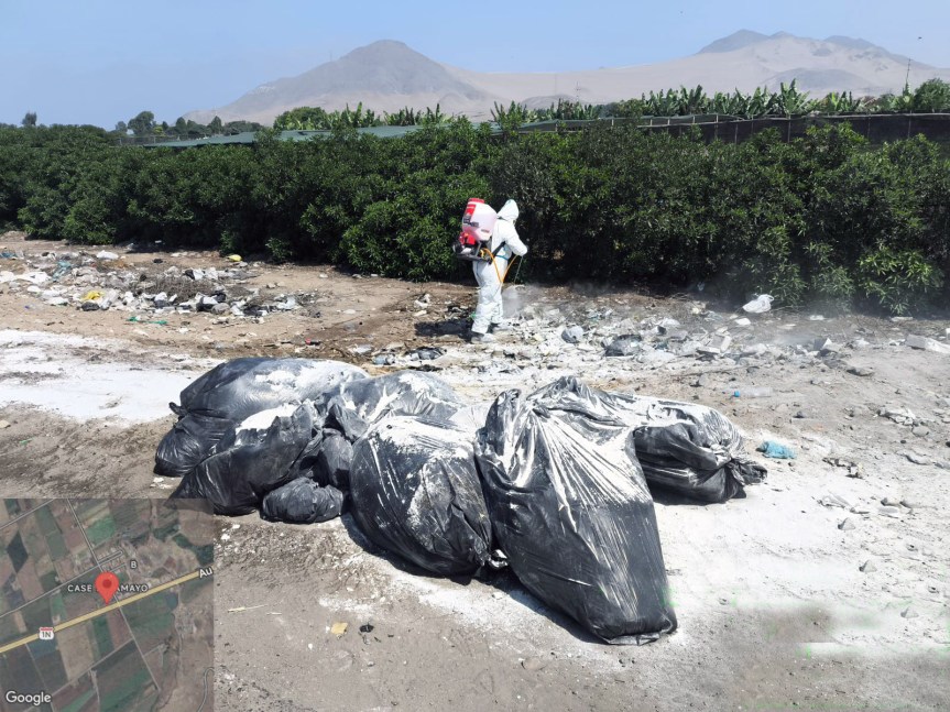 Aucallama: personas inescrupulosas arrojan cerdos muertos en vía&nbsp;pública